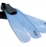 ����� SEEMANN Wings