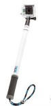������� ��������������� GoPole Reach 43-101��.